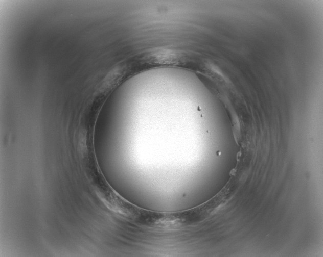 X0000067470213200604101207