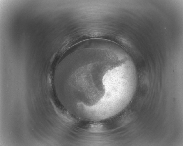 X0000067470214200604101207