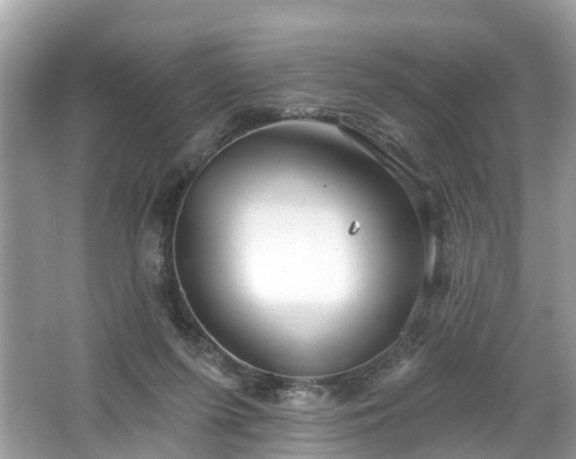 X0000067470215200604101207