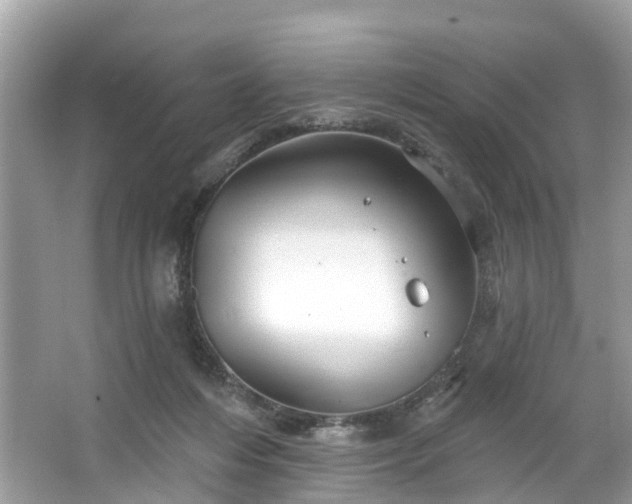 X0000067470216200604101207