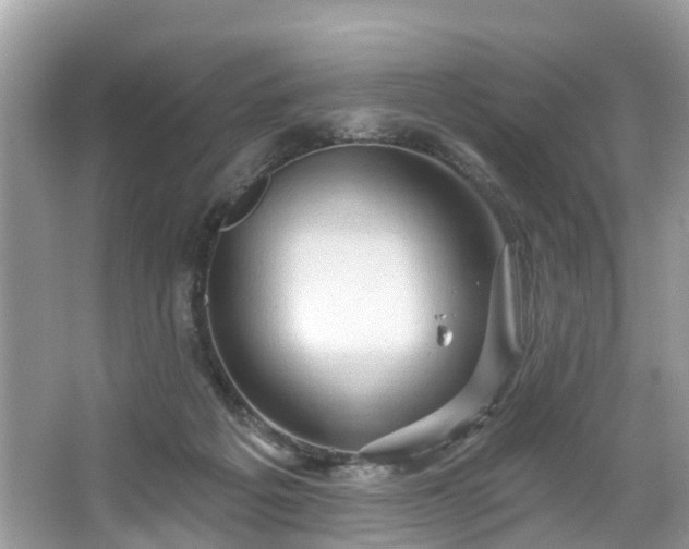 X0000067470217200604101207