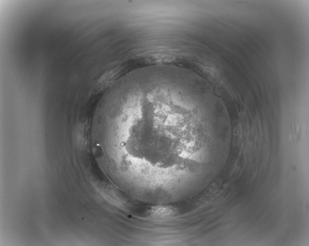 X0000067470218200604101207