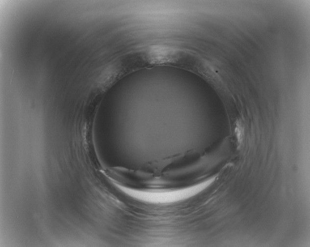 X0000067470219200604101207