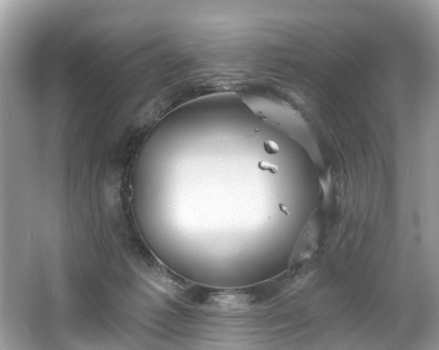 X0000067470221200604101207