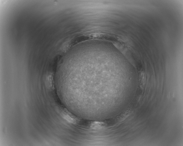 X0000067470222200604101207