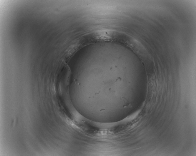 X0000067470223200604101207