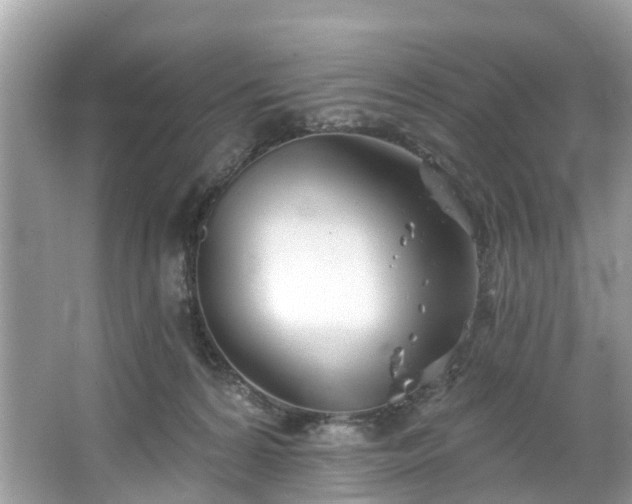 X0000067470224200604101207