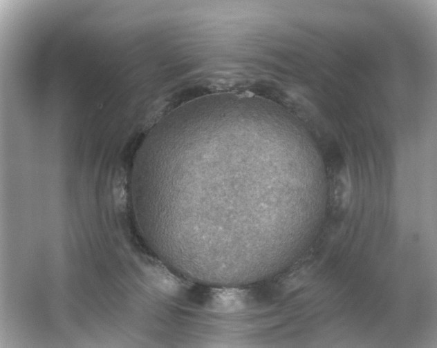 X0000067470226200604101207