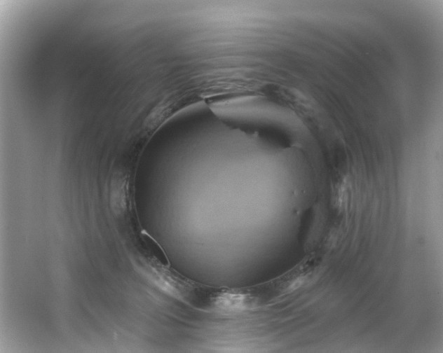 X0000067470227200604101207