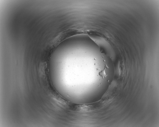 X0000067470229200604101207