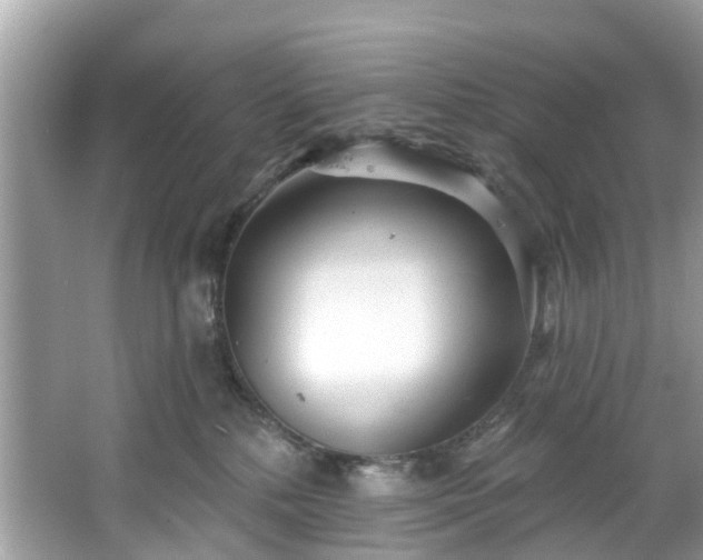 X0000067470232200604101207