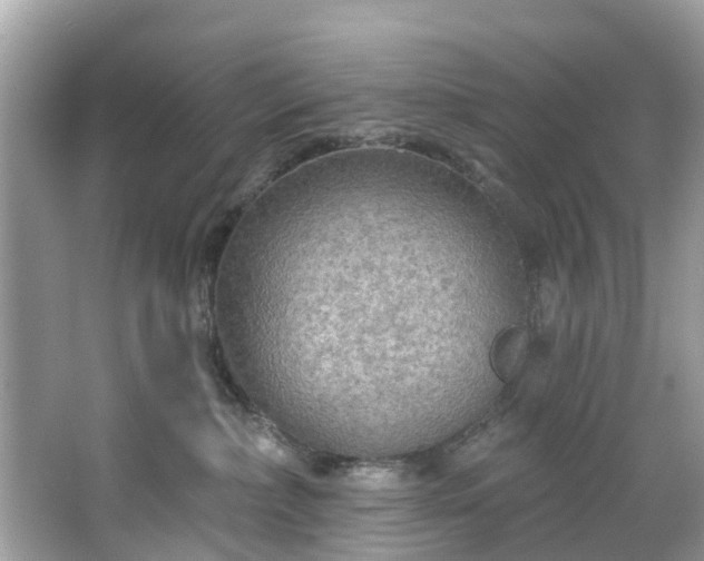 X0000067470236200604101207