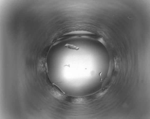 X0000067470237200604101207