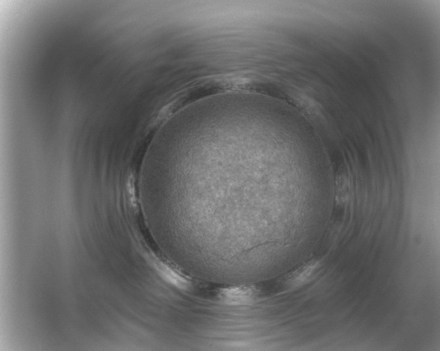 X0000067470238200604101207