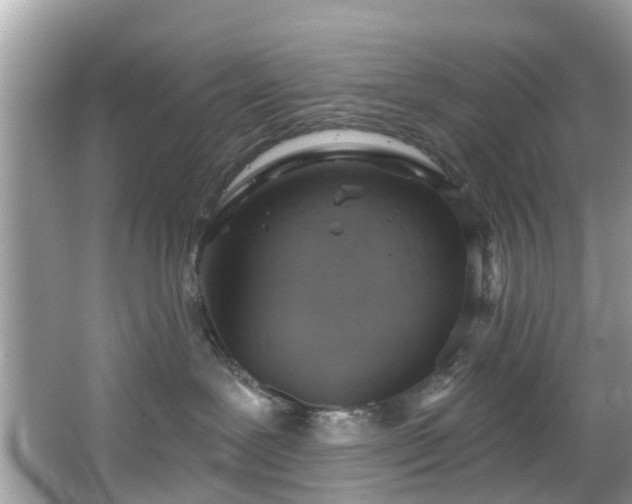 X0000067470239200604101207