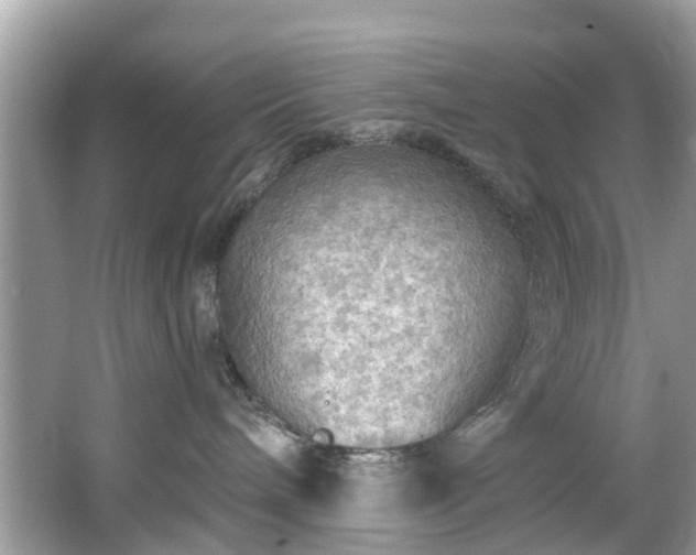 X0000067470240200604101207