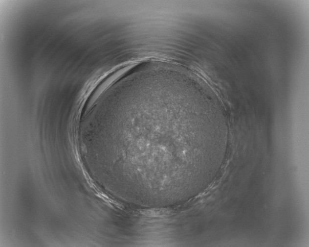 X0000067470241200604101206