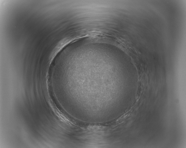 X0000067470242200604101206