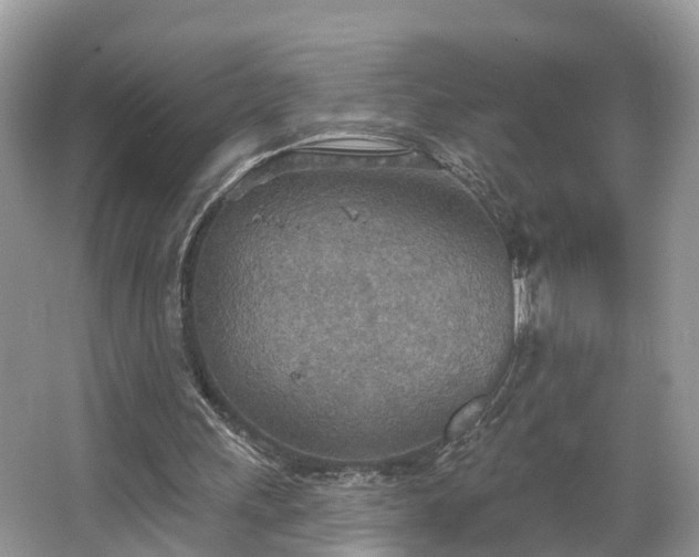 X0000067470243200604101206