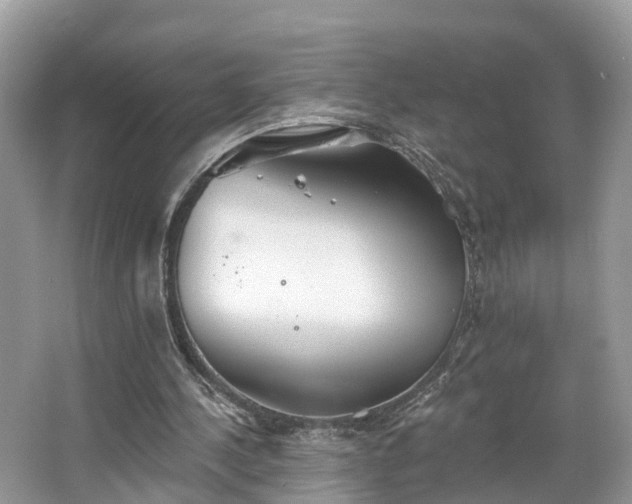 X0000067470244200604101206