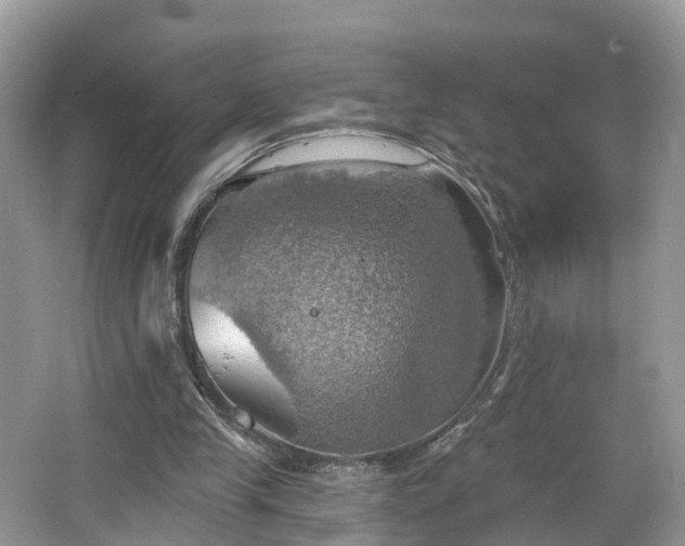 X0000067470245200604101206