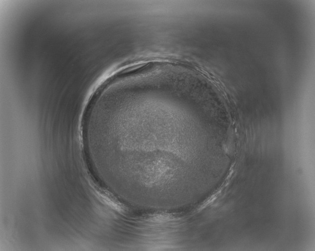 X0000067470246200604101206