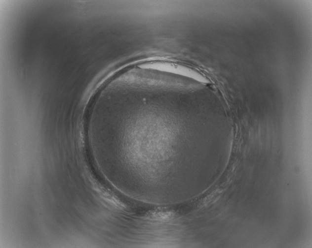 X0000067470247200604101206