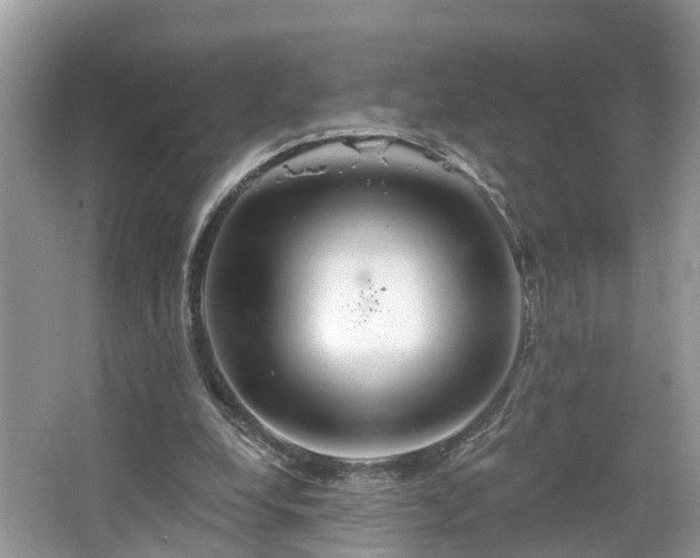 X0000067470248200604101206