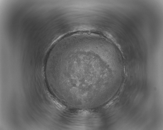 X0000067470249200604101206