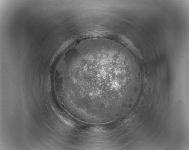 X0000067470250200604101206