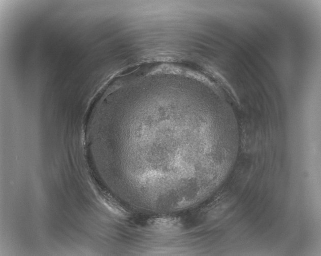 X0000067470251200604101206