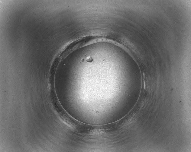 X0000067470252200604101206