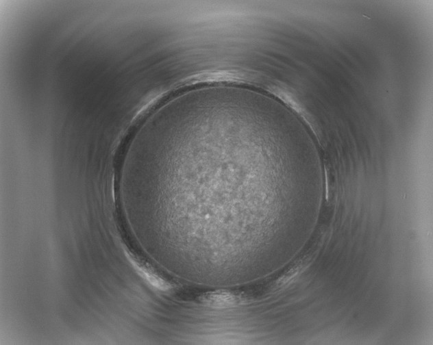 X0000067470253200604101206