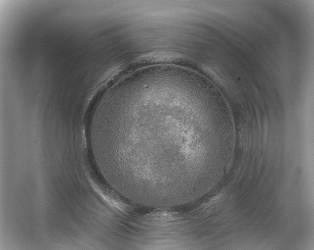 X0000067470254200604101206