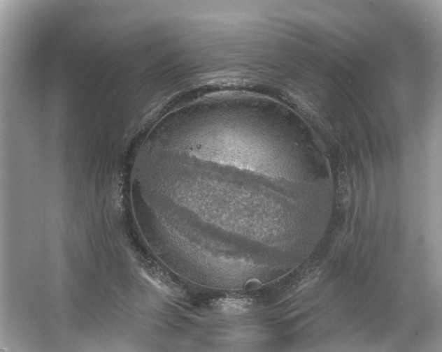 X0000067470255200604101206