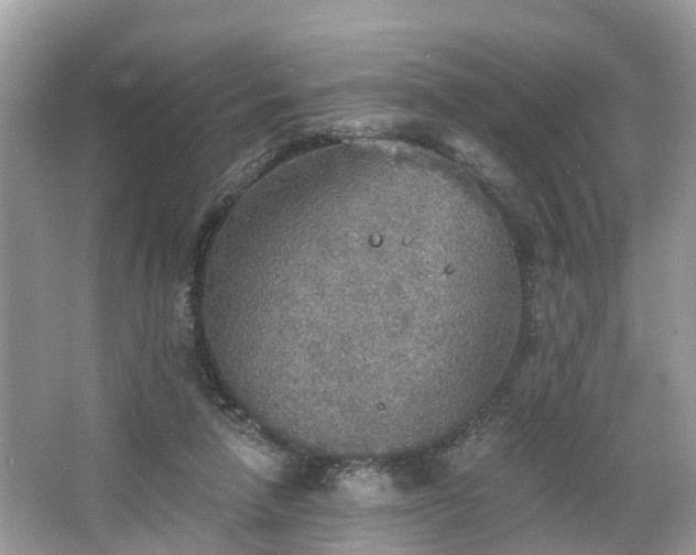 X0000067470258200604101206