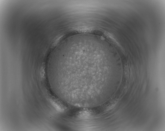 X0000067470259200604101206