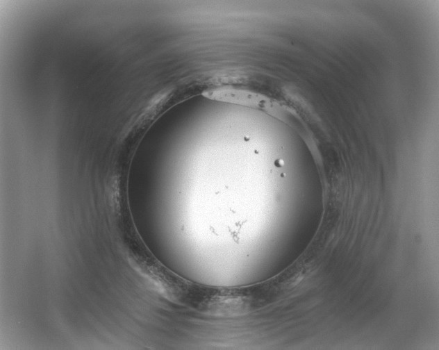 X0000067470260200604101206