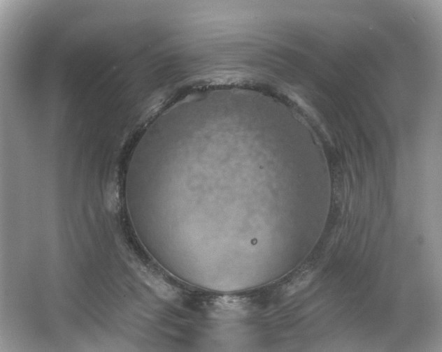 X0000067470261200604101206