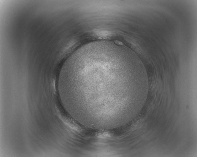 X0000067470262200604101206