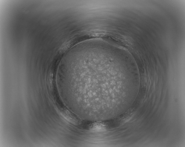 X0000067470263200604101206