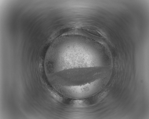 X0000067470265200604101206