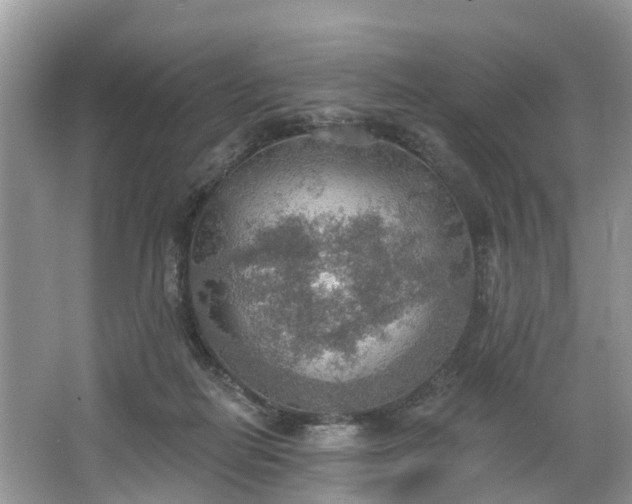 X0000067470266200604101207