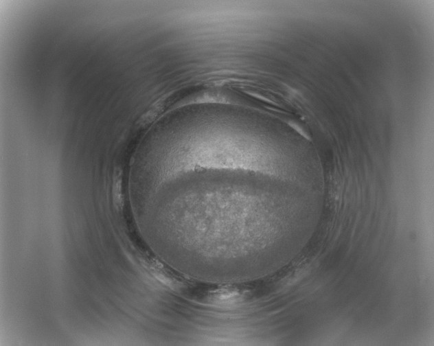 X0000067470267200604101207