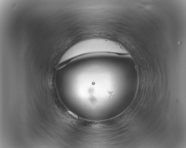 X0000067470268200604101207