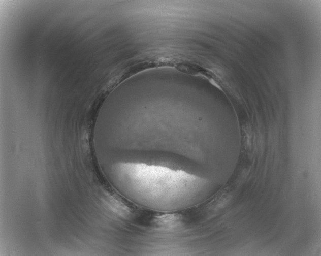 X0000067470269200604101207