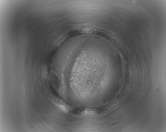 X0000067470270200604101207