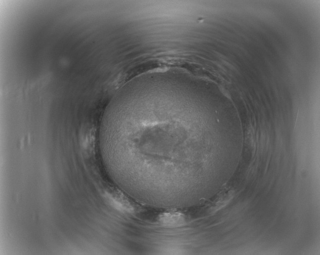 X0000067470271200604101207