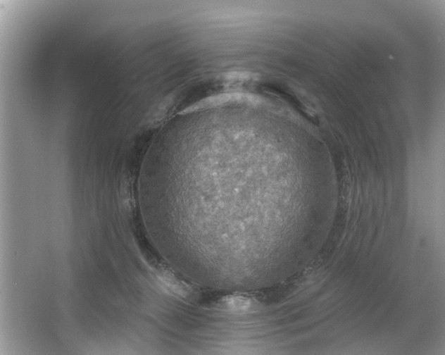 X0000067470272200604101207