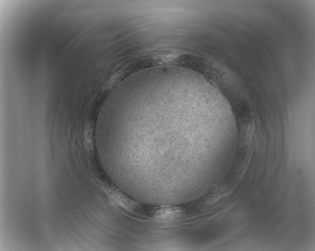 X0000067470274200604101207